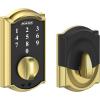 Bright Brass